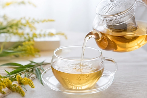 Solidago altissima tea as a daily health habit